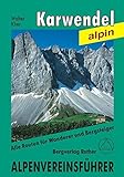 Karwendel alpin: Alpenvereinsführer alpin