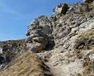 Über Stock und Stein auf den Nockstein (4 km, 260 hm)